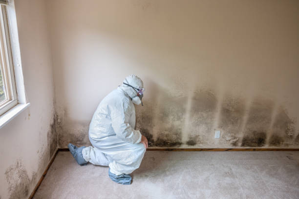 Best Biohazard Mold Removal  in Vienna Bend, LA